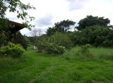 Foto 03 · Área, Barão Geraldo, Campinas, SP