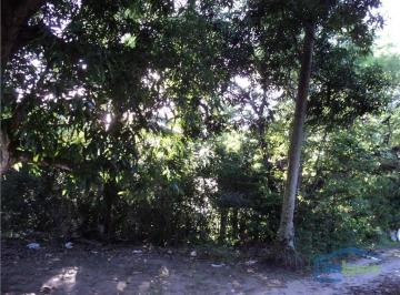 3ac185ee82951ac4f75211344169b7946f28bb03 · Terreno à venda, 4300 m² por R$ 350.000,00 - Jacuipe - Camaçari/BA