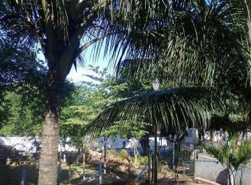6018a1b19364ab578a887541eb579ef3a8cb3d15 · Casa com 4 dormitórios à venda, 380 m² por R$ 2.500.000,00 - Mansões Santo Antônio - Campinas/SP