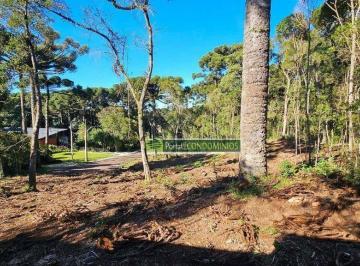 0bfdaf82b5779986bc3b7138be27352a97a59eb6 · Terreno à venda, 3083 m² por R$ 1.300.000,00 - Orleans - Curitiba/PR