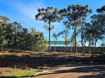 ef0873a58ba5f29b3a89f92db8448a29f8bf58d5 · Terreno à venda, 3083 m² por R$ 1.300.000,00 - Orleans - Curitiba/PR