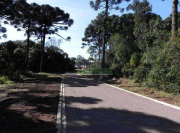 ef842c001fc41cf17ac3ea34921a5e2bafd5b906 · Terreno à venda, 2498 m² por R$ 990.000,00 - Orleans - Curitiba/PR
