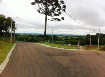4673b31143d249f85ee006e9e6df05c1ebb57c75 · Terreno à venda, 3727 m² por R$ 1.805.000,00 - Orleans - Curitiba/PR