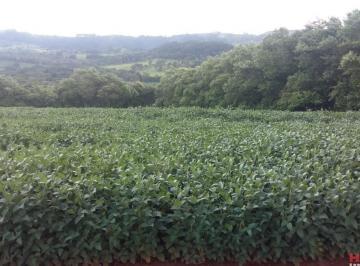Foto 01 · Fazenda, Rural, Pedregulho, SP