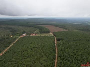 Foto 01 · Fazenda, Rural, João Pinheiro, MG
