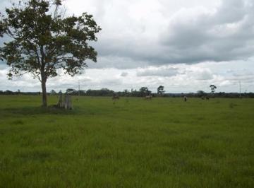 ef75f39a2e77dd9f5ed30dc1c139cfebdde41b00 · Área à venda para loteamento residencial, 196000 m² por R$ 74.500.000 - Granja Viana - Cotia/SP