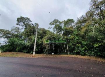 87257b7d26471f5b8a10499f9c3d6a2775f1e773 · Terreno à venda, 3466 m² por R$ 1.300.000,00 - Orleans - Curitiba/PR