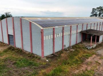 176ad10888e6901f2a4ea893965def3588576b81 · Galpão Industrial para alugar, 2900 m² - Distrito Industrial II - Mogi Mirim/SP
