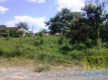 cd48d4f2d5095c9a64a5b46f9eea677ec4bf2f41 · Terreno à venda, 416 m² por R$ 550.000,00 - Praia Alegre - Penha/SC