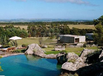 0a3fc0a8-90fa-483e-9453-5332e7243300-161705615522703.jpg · TERRENO LAS PIEDRAS- PUNTA DEL ESTE - URUGUAY