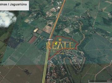 206f2bf906ea13a87adc99ac555676736593a55a · Área à venda, 240000 m² por R$ 48.000.000,00 - Parque São Quirino - Campinas/SP