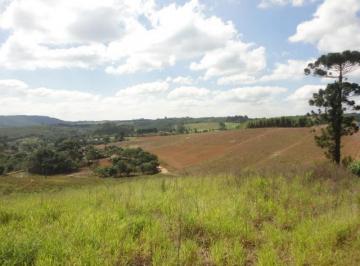 5fee016f7c5a1904045792e2ee7251d46b69cf53 · Área à venda, 78382 m² por R$ 7.840.000,00 - Terras de São Felipe (Caucaia do Alto) - Cotia/SP