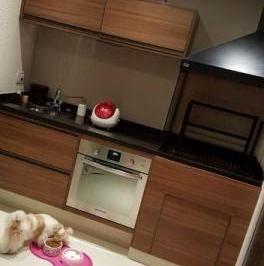 Apartamento de 2 quartos, São Paulo · Mais Altos - otima planta, bem decorado com lazer completo e varanda gourmet