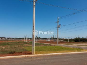 edited-image-1778347124679.jpg · Terreno, 294 m², em Guajuviras