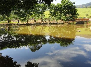202503241259445608.jpg · Pousada para Venda em Socorro, Zona Rural, 12 dormitórios, 8 suítes, 5 banheiros