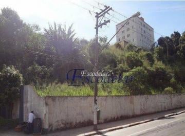 3ba750aafe11783bc69623907e75b7489a974a64 · Terreno Residencial à venda, Parque São Domingos, São Paulo - TE0015.