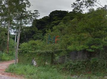 Terreno · 52699m² · Excelente Terreno com 50.000 m², tem 232 m de frente para o asfalto, sendo 2 lotes contíguos cada um