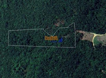 npgrjmw2otawyjlkyjeyyza3_md · Seu Espaço no Paraíso de São Pedro de Alcântara, terreno, propriedade 2 hectares