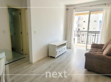 0 · apartamento para aluguel em Cambuí