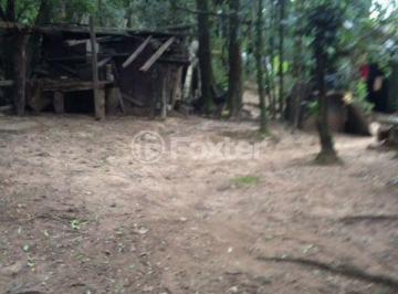 IMG_0719.JPG · Terreno, 3500 m², em Mário Quintana