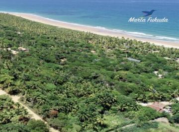2020/05/116034174.jpg · Terreno 835m² Bahia próximo à praia - Praia dos Algodões