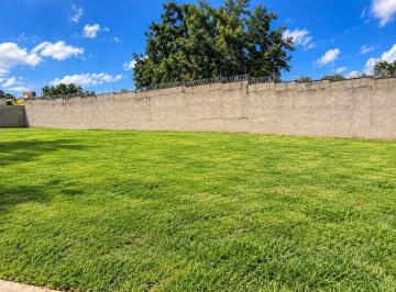 835cd45f7acba858f026d78f219ab92d4baad966 · Terreno comercial Jardim Botânico, Ribeirão Preto.