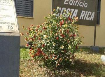 f4e079e5224f9c5eacf1e9308be485dbb525dfaf · Apartamento residencial à venda, Presidente Dutra, Ribeirão Preto.
