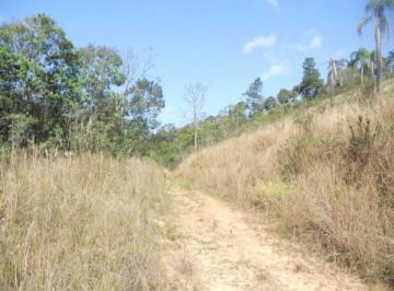 Comercial · 556000m² · Área de 23 Alqueires em São Lourenço da Serra