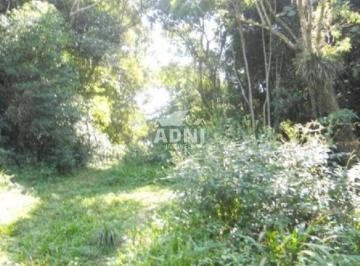 Comercial · 556000m² · Área de 23 Alqueires em São Lourenço da Serra
