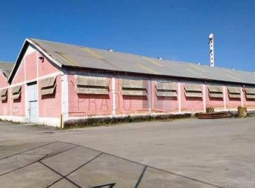 Foto 01 · Galpao, São Caetano, São Caetano do Sul, SP
