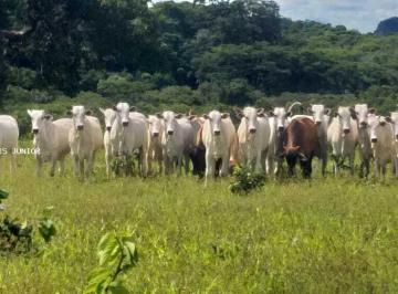 20220623210932132685.jpg · Fazenda para Venda em Camapuã, Zona Rural