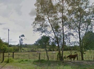 foto terreno.jpg · Terreno, 39882.5 m², em Passo Grande