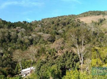 ef3a97aee21aa90da893859de06eee8600138c01 · Fazenda à venda por R$ 1.100.000 - Zona Rural - Cruz Machado/PR