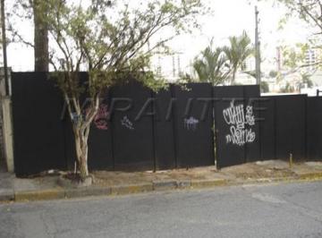 8f719c3346948408017109642e0636fc.jpg · Terreno de 11m²