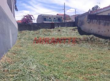 0866a872b5c854a6a41f8b5de1dccefa.jpg · Terreno