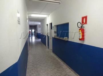 001_00000_00000_149755_2015021016000137.jpg · Comercial de 400m²