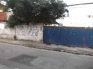 001_00000_00000_151250_2015052713505720.jpg · Terreno de 800m²