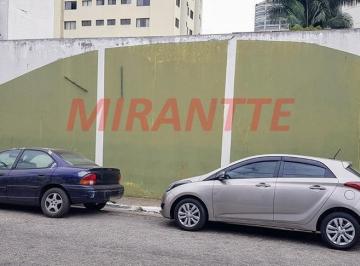 b0d13f5d801d8010dc545d0406b56c9d.jpg · Terreno