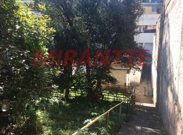 919bbd8e5a3a6c4e04360a55de24d8fe.jpg · Terreno de 495m²