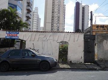 42b340fbeb69fe1b7d0a5fc6d22a6434.jpg · Terreno