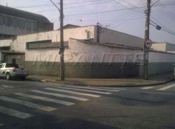 001_00000_00000_109233_2012091417284324.jpg · Galpao de 780m²