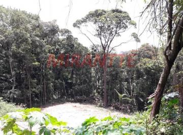 f6a69f1651a3781d370d01a374d453b5.jpg · Terreno de 1732m²