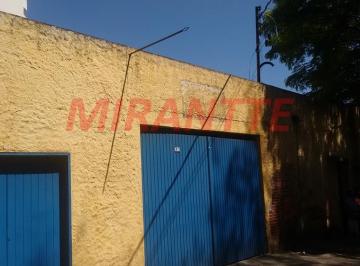 b6aae400e0e378bfdb2bb066c6d180a5.jpg · Terreno