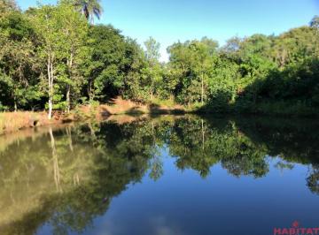 Foto 01 · Vende se Sitio de 10 alqueires no Interior de São Paulo