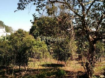 WhatsApp Image 2017-08-18 at 9.58.41 PM (1).jpeg · Terreno, 377.45 m², em Hidráulica