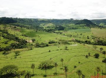 Foto 01 · FAZENDA PARA GADO - SP