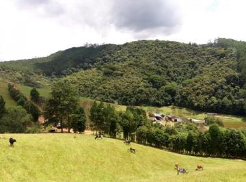 Rural · 411400m² · 5 Quartos · FAZENDA À VENDA EM JUQUITIBA; Fazenda à venda em Juquitiba/SP; Fazenda com ótima localização;