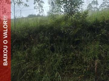 Foto 01 · TERRENOS EM JUQUITIBA, TERRENOS À VENDA EM JUQUITIBA