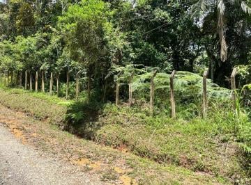 Foto 01 · terreno em condomínio; terreno à venda em Juquitiba; Terreno em Juquitiba; terreno em Juquitiba dent