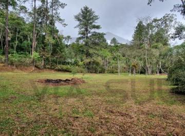 Foto 18 · Terreno com 4.500m² de área desmatada e plana para construção, 05 lagos com água corrente